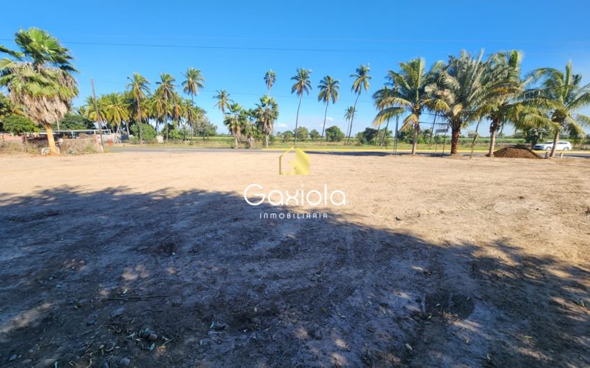 Se RENTA Terreno de 1,569.55 m2 sobre carretera Culiacán-El Dorado