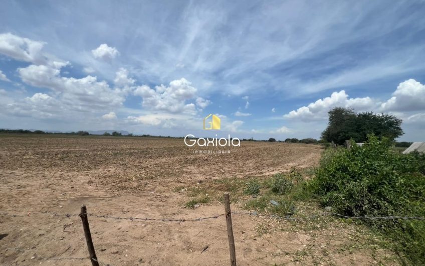 Se VENDE terreno de 6.43 hectáreas, en San  Pedro, Navolato, Sinaloa